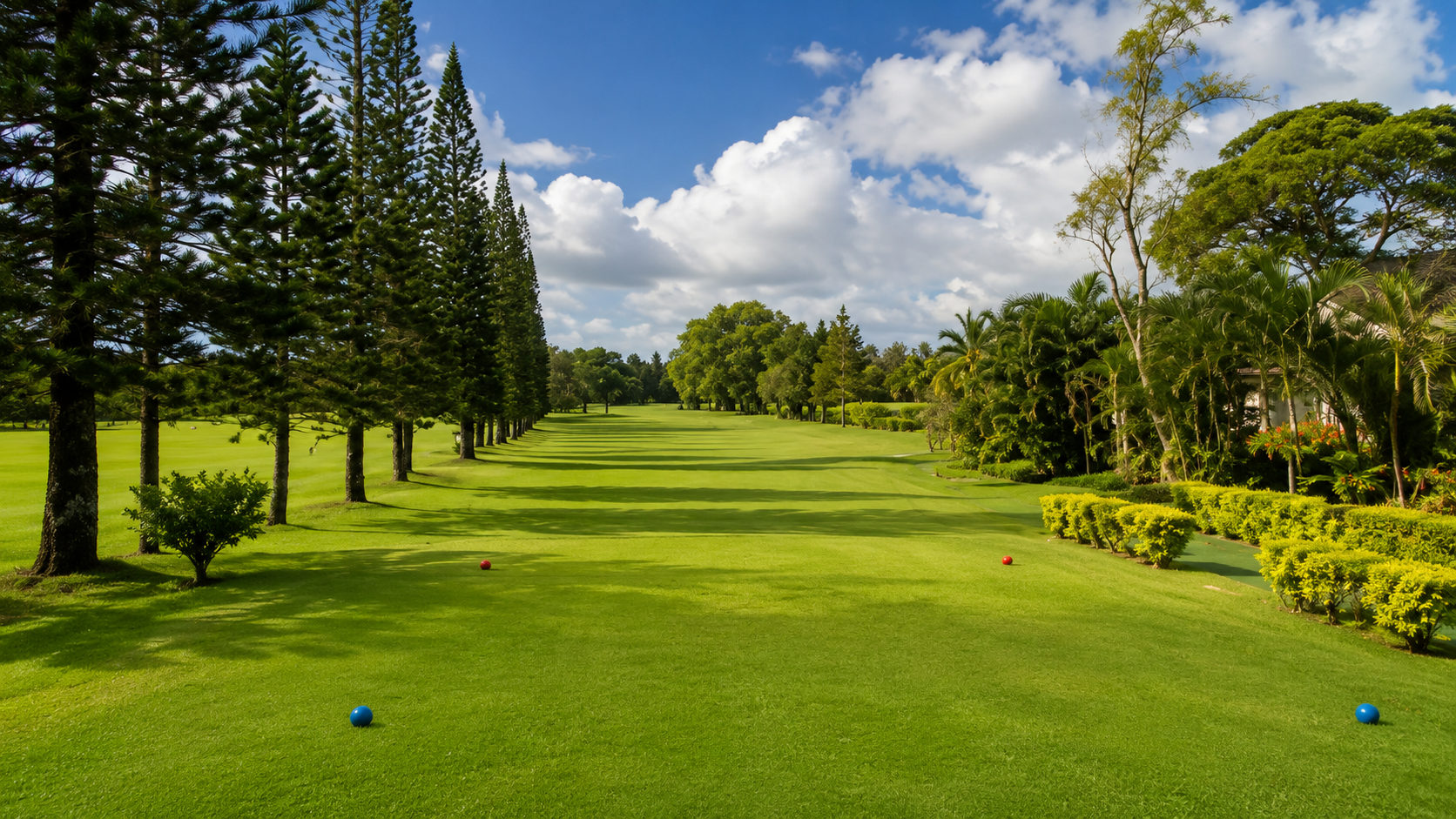 The MGC course at sunrise