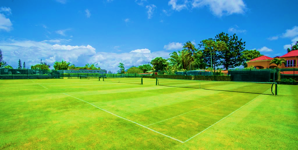 Detail of a grass tennis court at MGC
